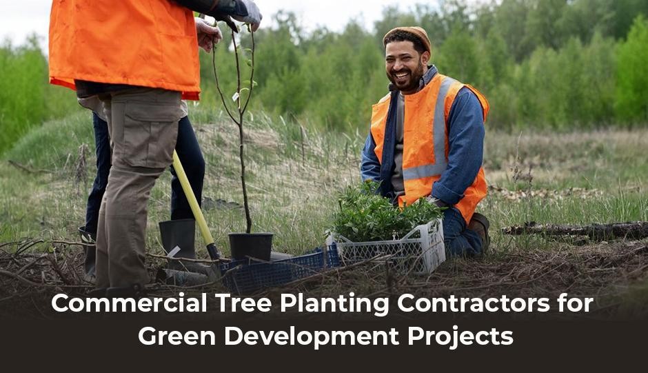 Commercial Tree Planting Contractors